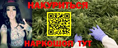 индика Азнакаево