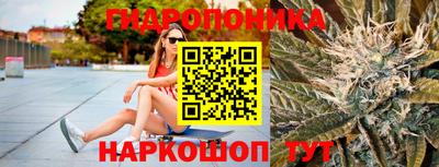 индика Азнакаево