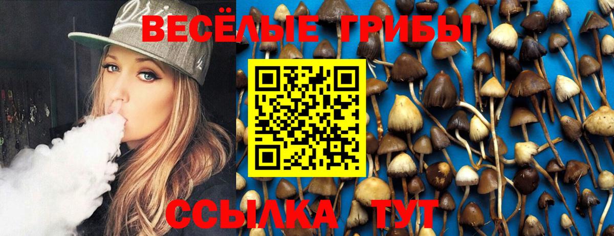 Галлюциногенные грибы Cubensis Алексеевка