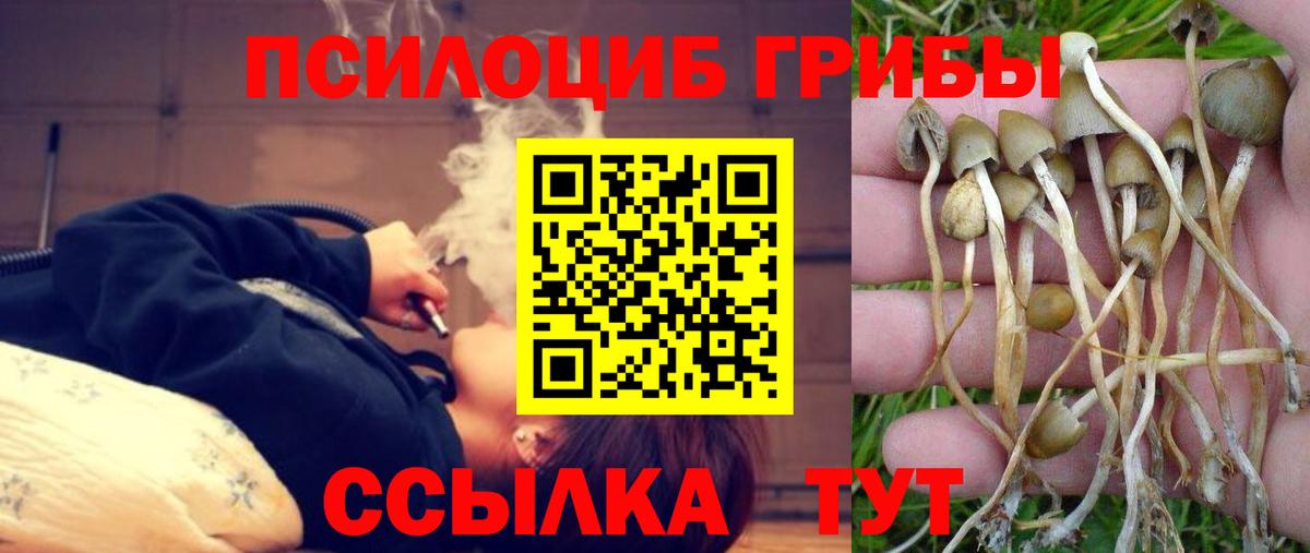 Псилоцибиновые грибы Psilocybine cubensis  Вход с VPN  Псилоцибиновые грибы мухоморы  Алексеевка 